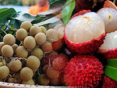 牛油果|要减肥的朋友注意啦！一定要远离这7种食物，他们的热量比肉还高！