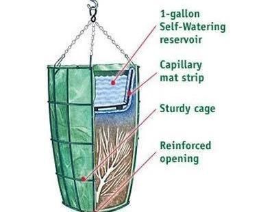 植物|没地种花种菜,没时间浇水几个塑料瓶就能解决,DIY变废为宝