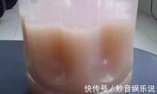 新芽儿|养花不用买肥料,4种''生活垃圾''一处理,盆栽开花又大又漂亮