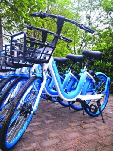 南京哈啰单车启动2021新车置换工作