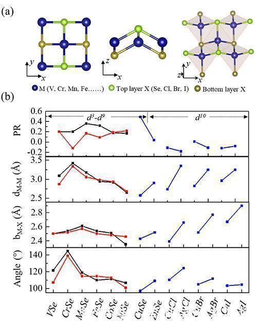 高通量 进展|二维材料及异质结的高通量计算取得重要进展