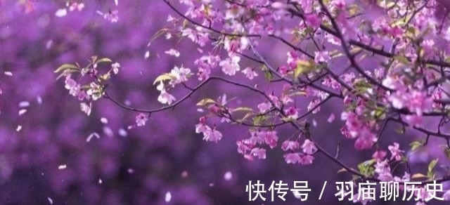 崔郊#纳兰性德经典绝美之作,仅开头7个字就够惊艳,最后一句令人断肠