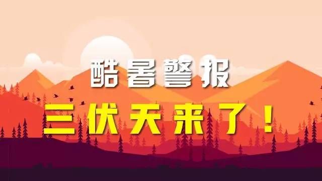 夏天|“夏吃豆,胜吃肉”,适合伏天吃的3种豆,清热解暑,安稳过夏天