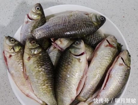 秋后碰到我从不还价的鱼，一买就是5斤，营养极高，煎着吃特香