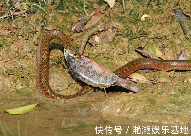 钓鱼|野钓意外死亡原因排行,这几个习惯钓友真的不能有