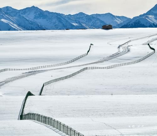 【图说新疆】新疆喀拉峻：茫茫林海雪原 木屋毡房点点