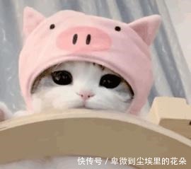 心理健康|青苗护航,伴你成长|“我快要疯了!”焦虑怎么办