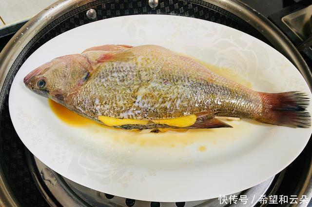 益智|冬天,吃牛羊肉不如吃它,鲜嫩易吸收,孩子常吃益智健脑身体棒