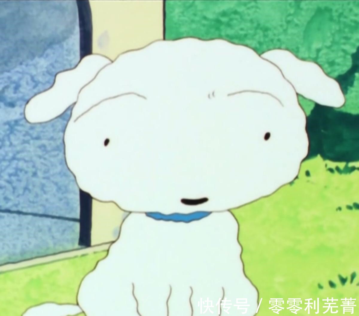 万人票选最想饲养的动漫治愈系宠物，二次元世界中的完美生物