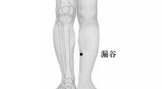 漏谷穴|脾若有病，人废一半！打通这条经络，重病、急病、怪病难上身！