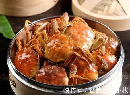 鸡爪|中秋家宴16道菜任选，荤素搭配，照着做省时又省心