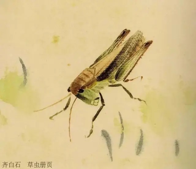 蝈蝈$国画技法图典——草虫篇:蝗虫 蚂蚱 蝈蝈 螽斯 螳螂 蟋蟀
