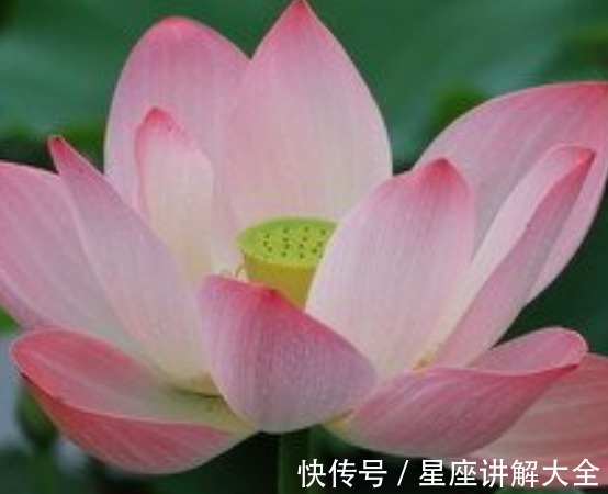 前程无忧|9月中旬，喜事临门，4属相桃花运旺盛，爱情美满，前程无忧