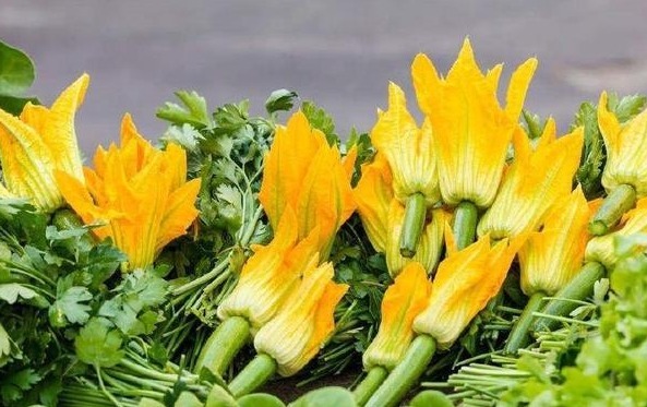 兰花花|这瓜花朵比果实珍贵,可治疗三高,但大多被农民丢弃了