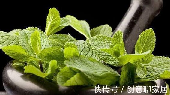 美容养|会吃的人更健康,4种食物坚持吃,养肝护肝,美容养颜、滋补身体