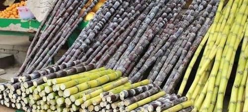 会吃的人最健康，几种食物离不开，抑制黑色素，抗老化，有益健康