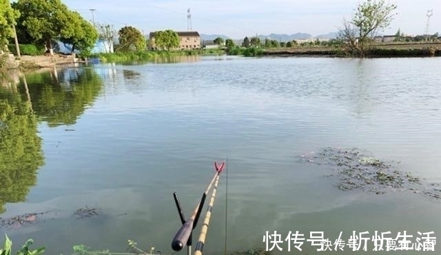 诱因|鱼星四起，鱼却不咬钩，着急解决不了问题，搞懂诱因方能化解