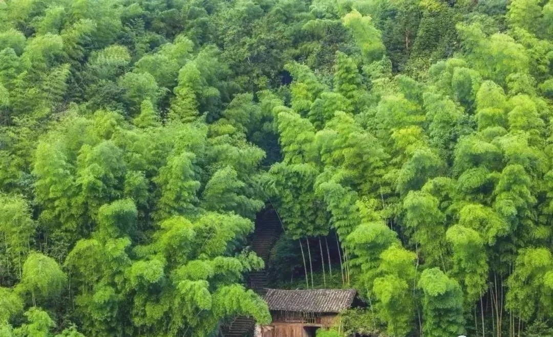 临海尤溪，古桥流水，诗画田园|浙江美丽城镇建设省级样板 | 尤溪镇