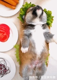 |「搞笑GIF」这是什么情况,知道现在的男孩子为什么不找女生玩了