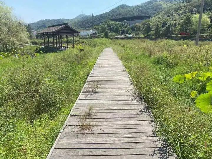 冷水池|杭州小山村发现温泉，自带硫磺味！这里还藏着更大惊喜