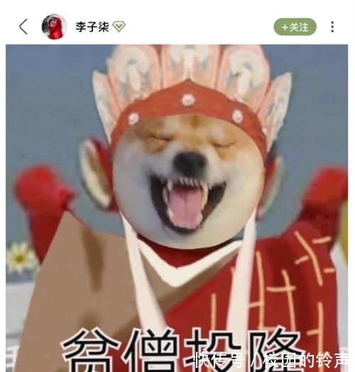 芝麻菠菜|李亚鹏挖李子柒团队是真的吗 事件真相曝光