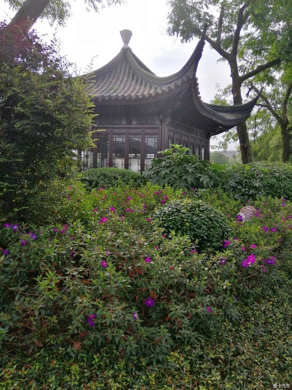 地标|晨游月湖园，误撞童槐家