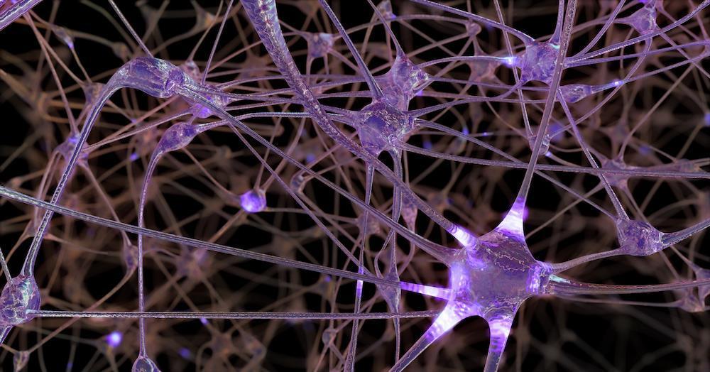 黄金|6岁前大脑发育快,5大黄金食物要常吃,帮孩子提升聪明脑力