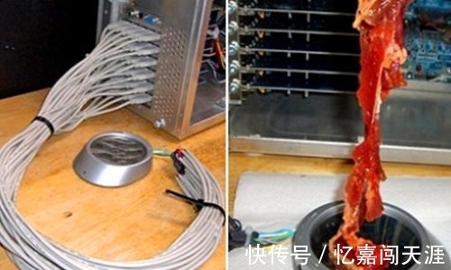 usb&看起来很有创意,但实际却毫无用途的9个日本的奇怪发明