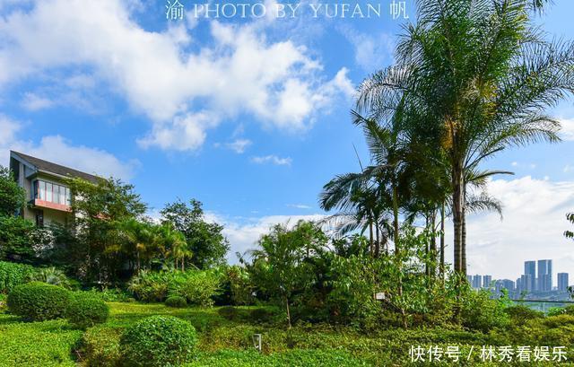 房顶|重庆网红景点层出不穷，又一个楼顶火遍网络，引游客争相前去打卡