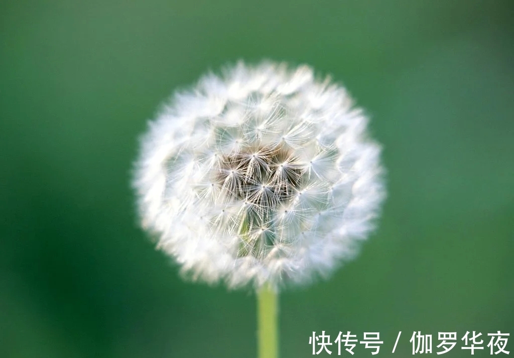 冷知识|30个冷知识：或许只有少数人知晓，无用但有趣的奇怪知识