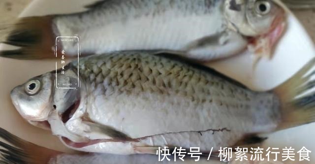 食用油|秋季,这鱼别错过,过一阵就少了,多做给孩子吃,脑子聪明记忆好!
