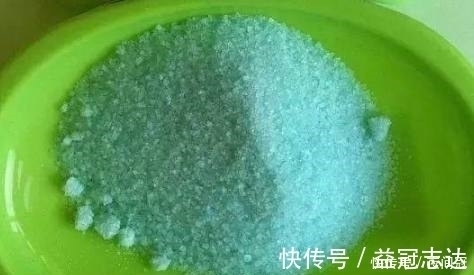 浇水|盆栽叶子发黄？浇水时加2滴这东西，很快就能变的绿意盎然