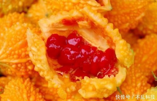 补充雌激素|女人别太节俭，3种“零食”要常吃，补充雌激素，六十不显老