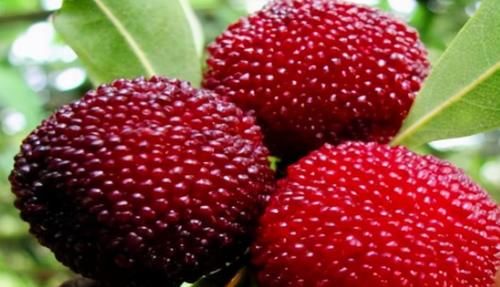 不想身体有炎症，多吃几种食物，大肚子平了，气色红润，身材苗条