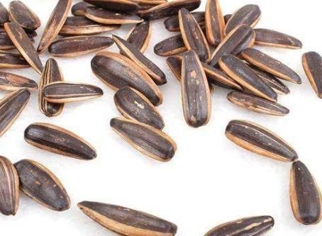 营养师|吃瓜子等于“喝油”?营养师:真正不能吃的,或许是这2种瓜子