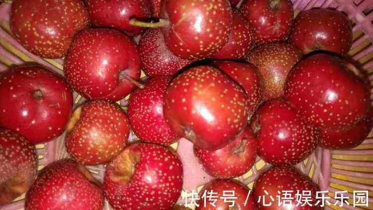 甘油三酯|山楂和此物一起煮,睡前一杯,血管通了皮肤白了,体重轻松降!