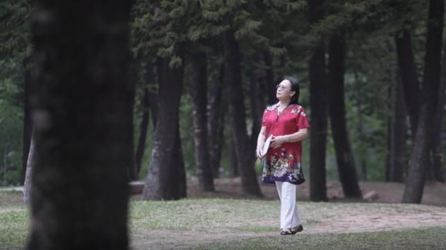 花鸟画|灵动韵致染成章——黄文丽的静逸花鸟世界