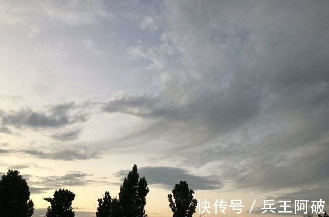 偶数|啥是“公伏头”和“母伏头”,今年是公伏还是母伏?何时入伏?