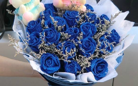 大家见过“蓝色妖姬玫瑰”吗花中新贵，妖艳迷人，颜值高寓意好