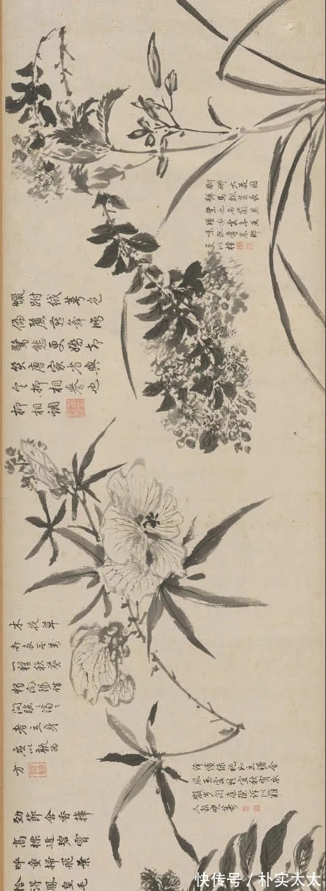 明代!周之冕|明代一位兼工带写的花鸟画家