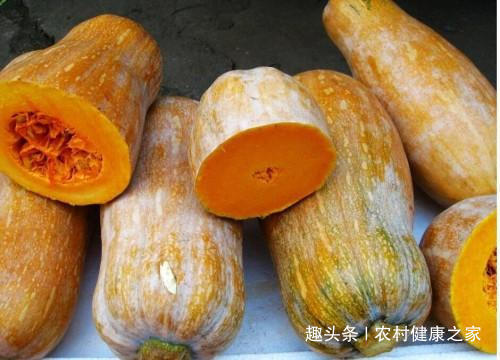 南瓜和此物一起煮，孩子吃了猛长个，抵抗力强，大脑更聪明