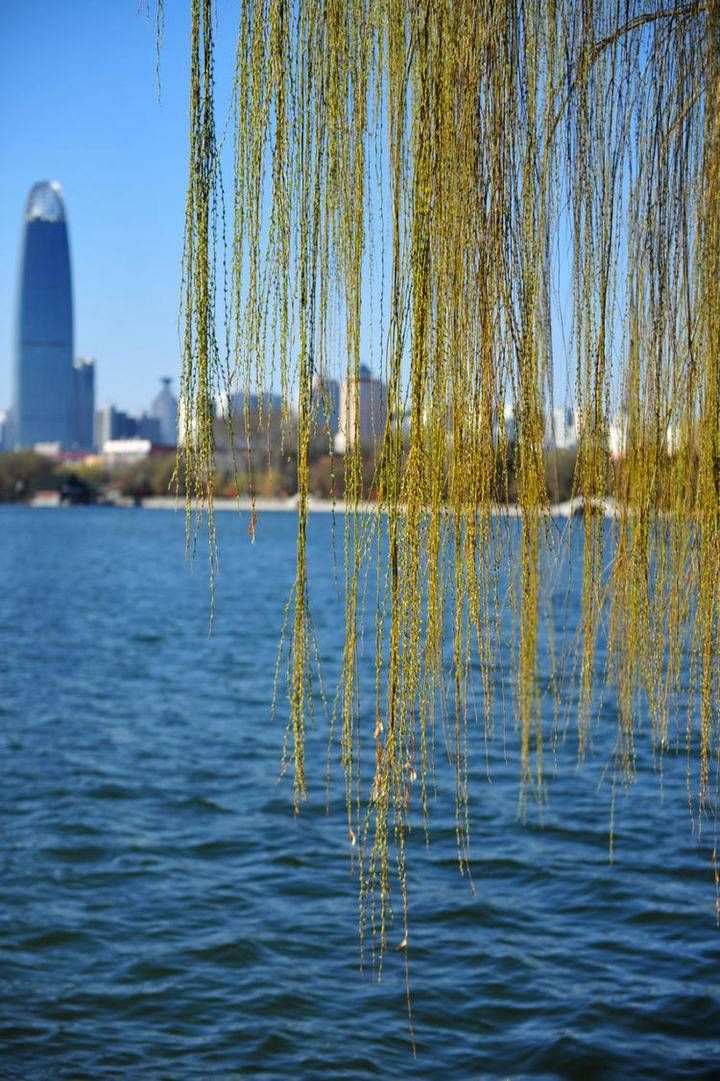 老年|春节遇上春天，春暖花开在路上