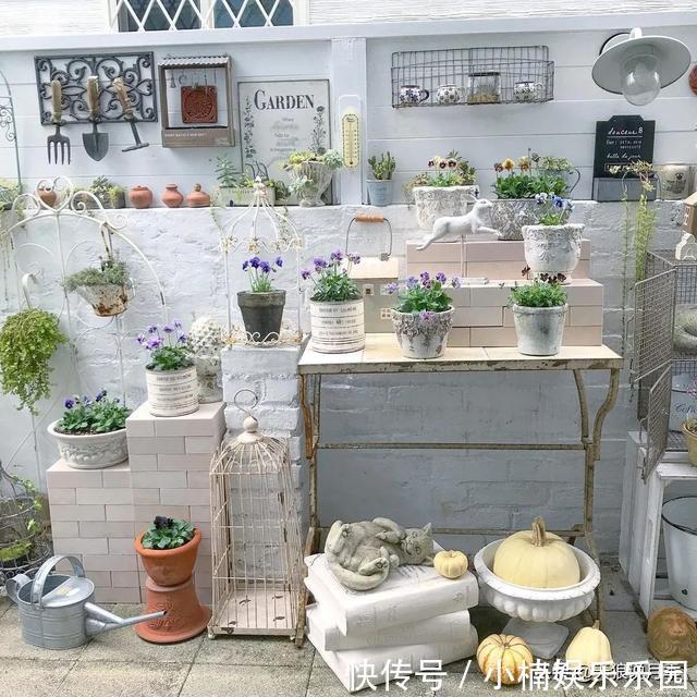 毛地黄|小空间花园打造指南丨四季开花不断，她是怎么做到的？