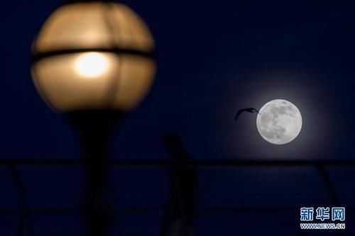伦敦：“超级月亮”现身夜空