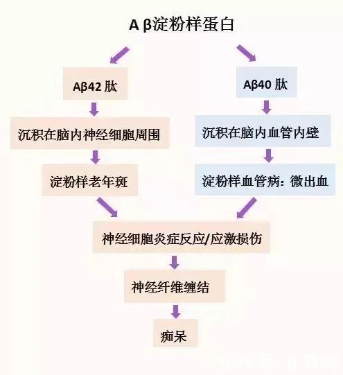 阿尔茨海默症|伤大脑、致痴呆的元凶是它！把握治疗的“黄金阶段”，让大脑重回年轻