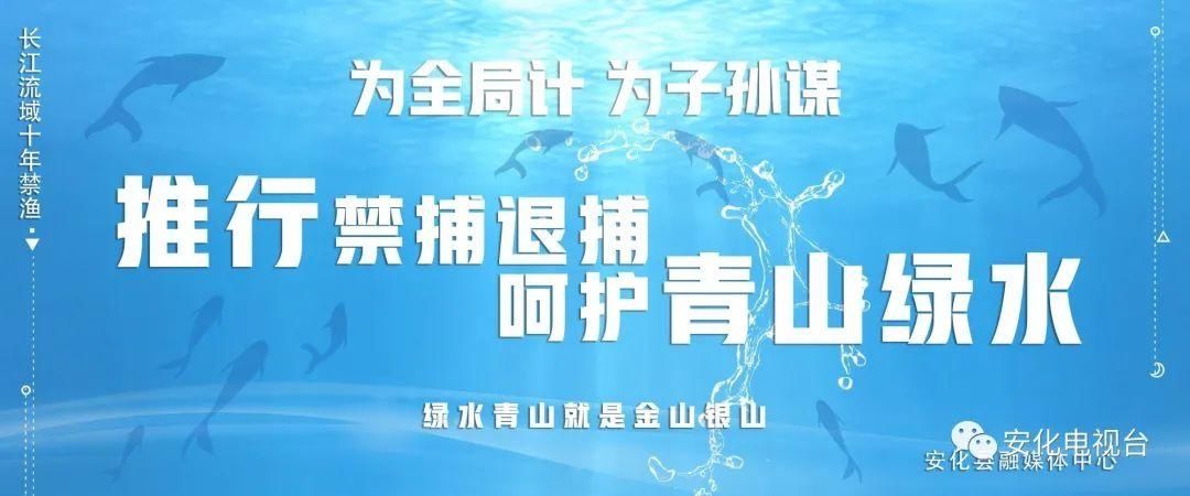 交通运输|安化县交通运输局：交通运输综合行政执法中队挂牌成立