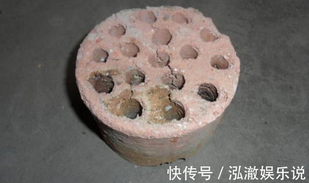 蟹爪兰|养多肉、蟹爪兰、君子兰,用它就能根固叶茂,远离烂根困扰