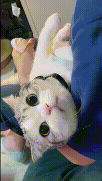 |搞笑GIF: 恐怕你要换一条裤子了 姑娘想都没想直接就坐了上去