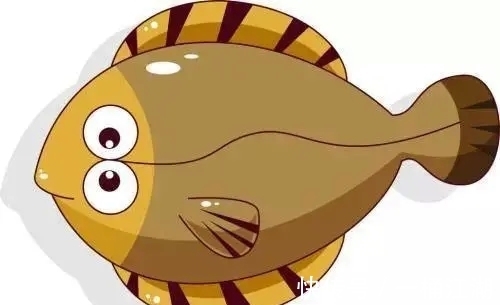 冷知识|32个冷知识:或许看起来有些荒唐,但却有所依据的有趣知识