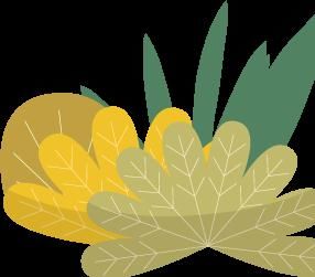 立秋后就要“贴秋膘”？当心疾病找上门！|热的冷知识 | 茯苓饼